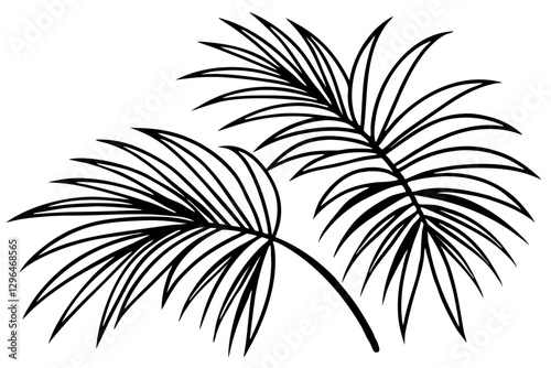 Detailed Line Art of Palm Leaves for Luxury Design

