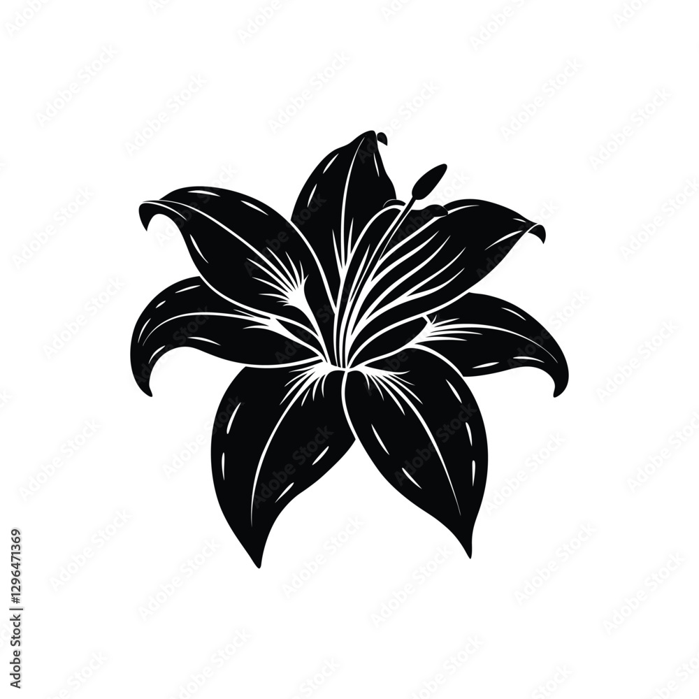 Obraz premium lily flower vector illustration on white background 