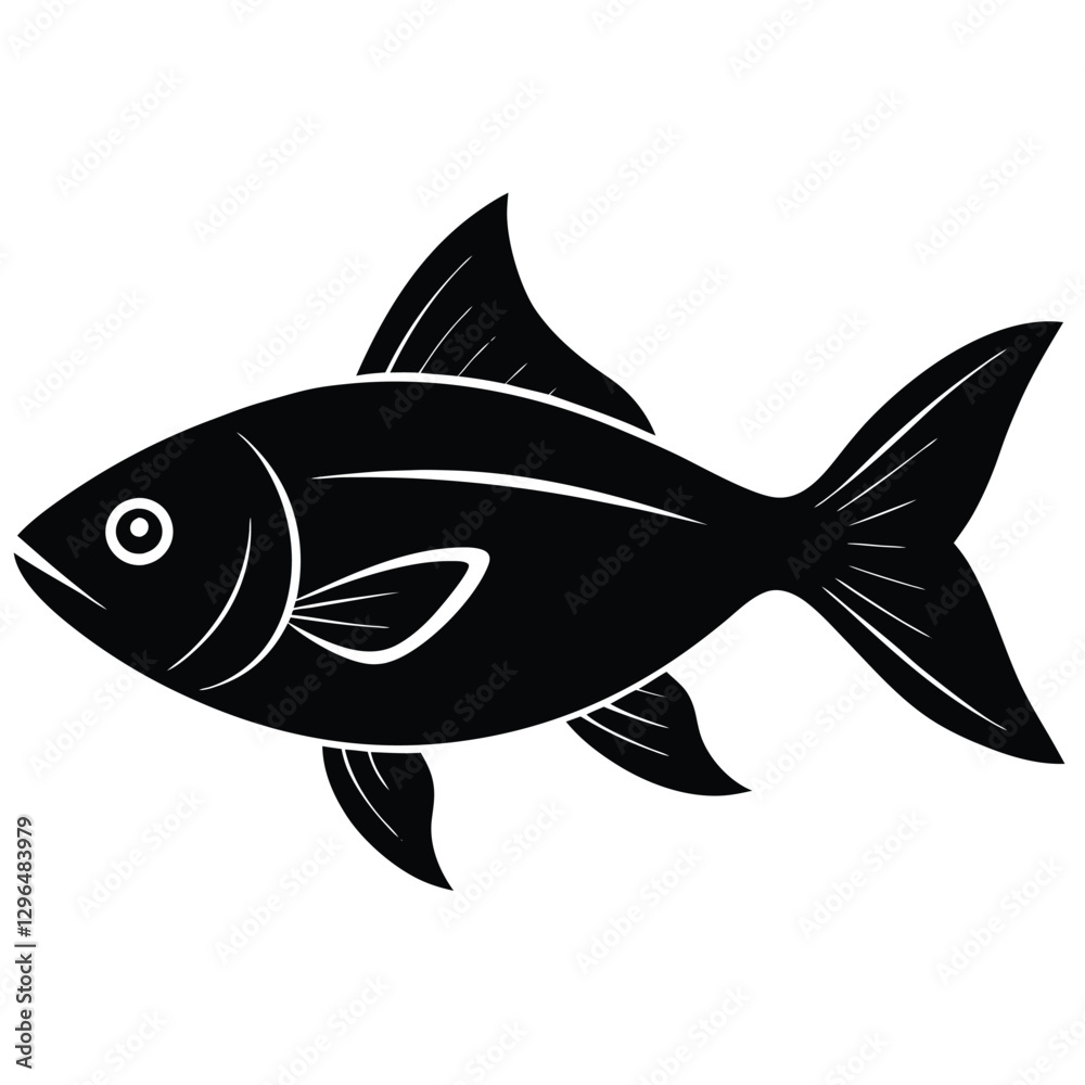 fish on a white background fish on a white background