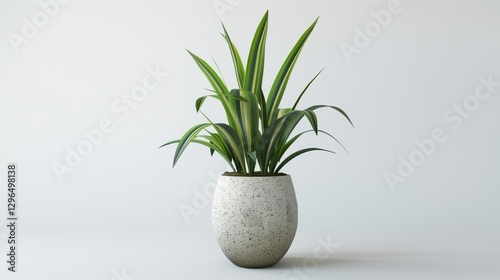 A decorative indoor plant in a ceramic pot, standing alone on a flawless white background, captured in high-resolution realism.