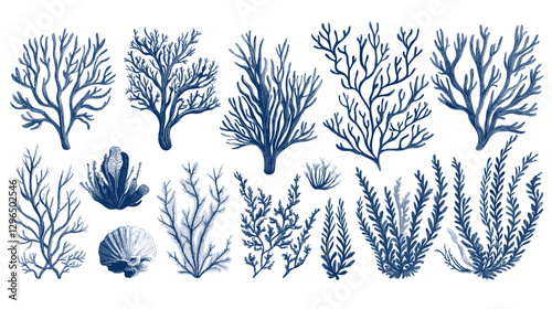 Corals and seaweed. Vector Hand Drawn Coral Sketch Botanical Illustration. Underwater flora, sea plants. Line art clipart. Vintage pink and blue marine plants isolated on a white background