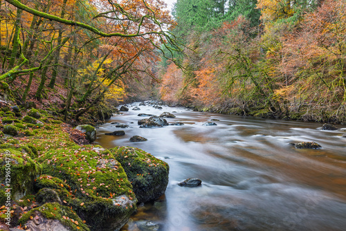 Mossy Riverbank and Golden Woodland in Late Autumn Scotland: A Peaceful Scene with Smooth Water Flow Captured by Long Exposure Photography photo