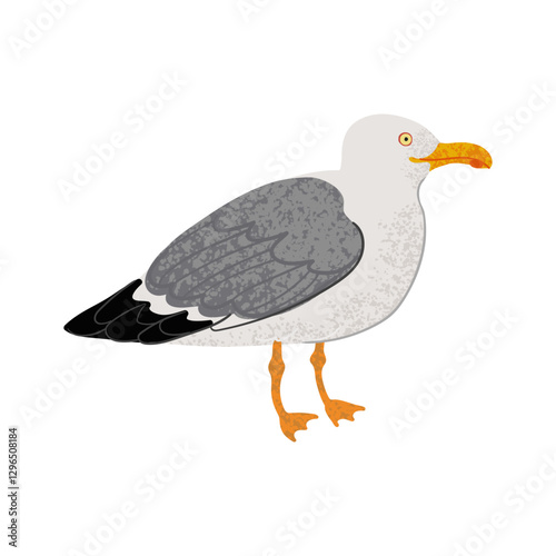 Vector Colorful Illustration of Seagull Isolated on White Background