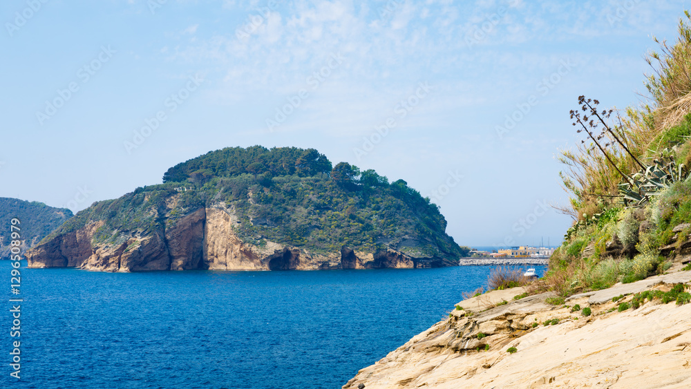 Scenic coastal landscape of Procida, Italy. Rugged island with steep cliffs and dense vegetation surrounded by blue Mediterranean Sea. Rocky shoreline with wild plants in foreground Scenic coastal landscape of Procida, Italy. Rugged island with steep cliffs and dense vegetation surrounded by blue Mediterranean Sea. Rocky shoreline with wild plants in foreground