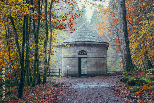 Tableau sur toile Autumn Serenity at Ossian's Hall, The Hermitage: Moss-Covered Trees and Golden L