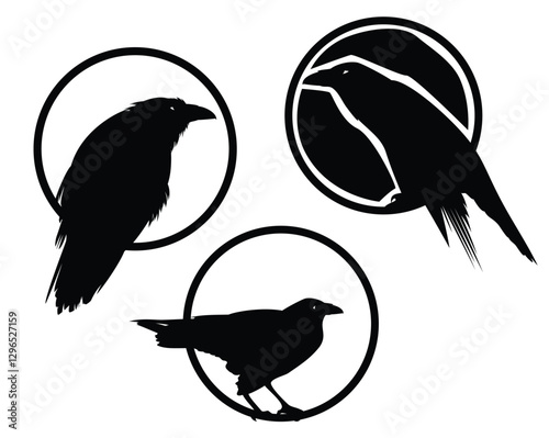 mysterious raven sitting at circle frame - magic spirit bird black and white vector design set