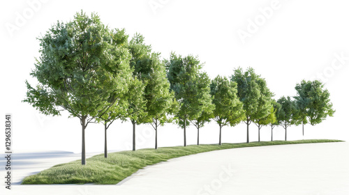 Row of green trees framing a winding path with transparent background