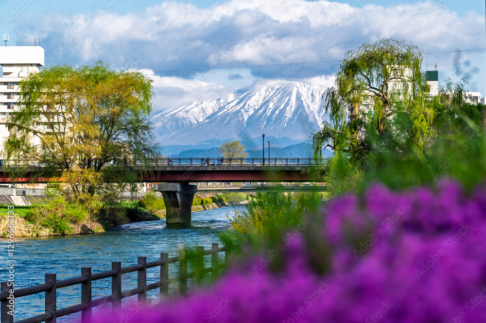 Buildings and promenade and riverside walkway and flower gardens at Katakami riverflowing through the middle of Morioka city, Iwate Cityscape with Iwate Mount Background scene.