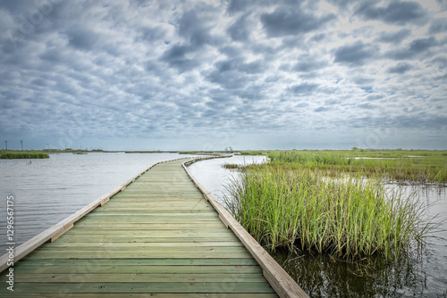 Boardwalk in the Sea Rim State Park, Port Arthur Texas