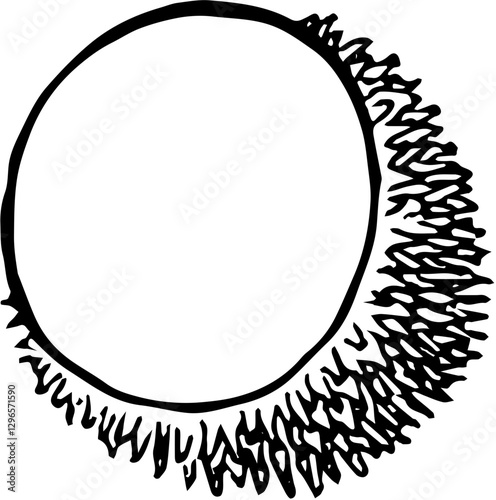 Fruit. Hand drawn vector isolated sketch. Pulasan