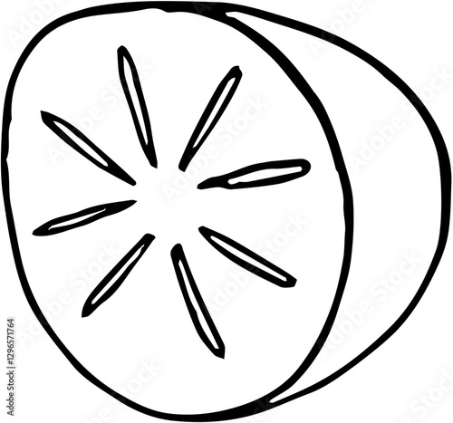 Fruit. Hand drawn vector isolated sketch. Persimmon 