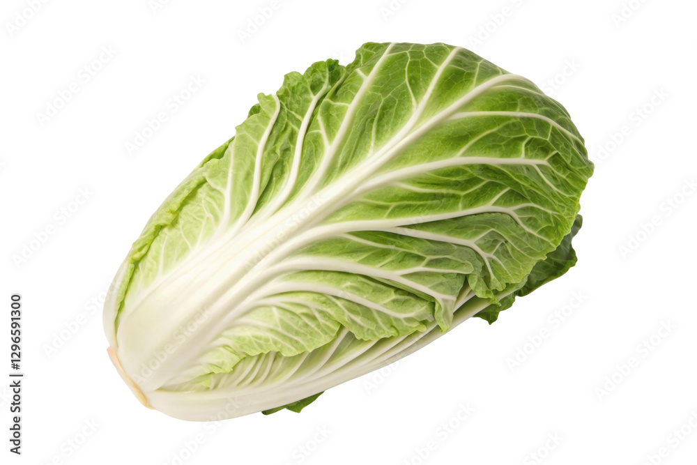 Fresh napa cabbage showcases vibrant green leaves and delicate veins, perfect for healthy dishes and salads, cut out Fresh napa cabbage showcases vibrant green leaves and delicate veins, perfect for healthy dishes and salads, cut out