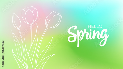 Hello Spring. Hand lettering and spring tulips for Springtime season greetings and and invitations. White outline. Blurred background. Vector illustration.