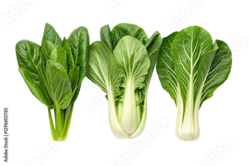 Fresh leafy greens including bok choy, Swiss chard, and spinach arranged beautifully for culinary use and healthy meal preparation, cut out