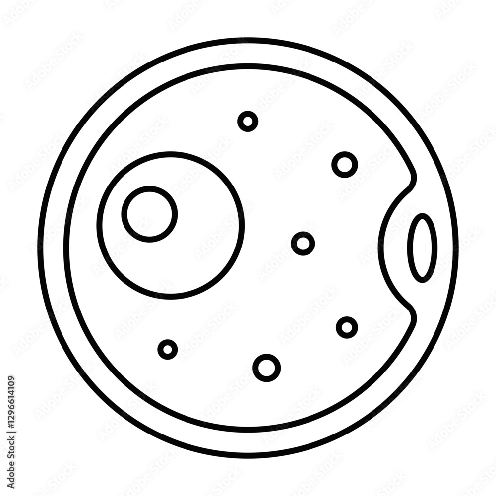ovum ovum