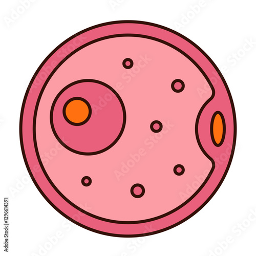 ovum