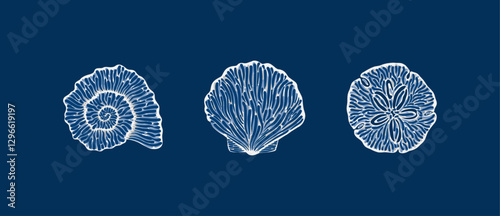 Illustrations of various shell designs depicted with intricate white line art on a rich blue canvas, blending artistry and natural themes together in a marine-inspired composition