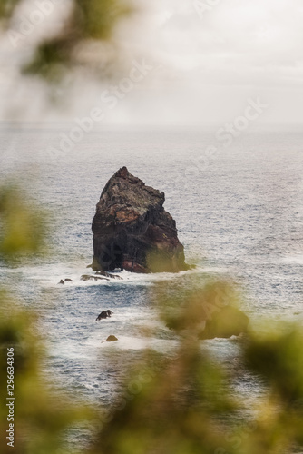 Coastal landscape of Madeira