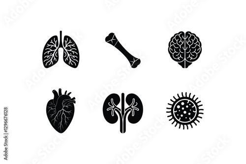 Human Organ Icon Set Silhouette Vector Art | Anatomy & Medical Illustration