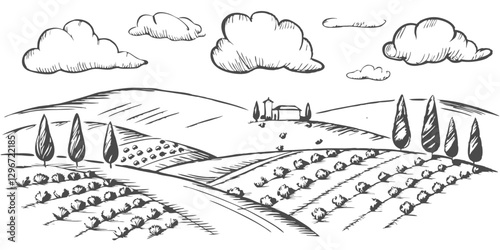 Hand-drawn sketch illustration of a Tuscany landscape, featuring rolling hills, agricultural fields, and rustic charm. Perfect for travel, farm, and countryside-themed designs.