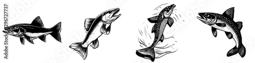 Hand drawn vector illustration of various fish species depicted in dynamic poses