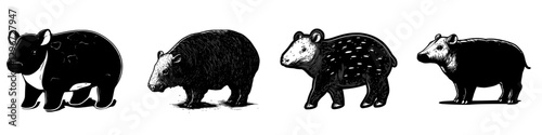 Hand-drawn vector illustration of various stylized tapirs in different postures