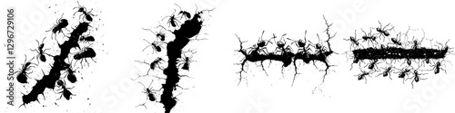 Hand drawn vector illustration of ant trails and cracks in the ground showcasing the movement of ants in a natural setting