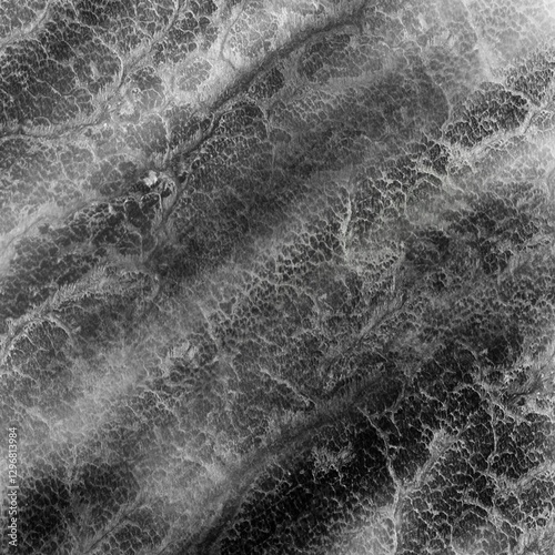 black and white abstract background