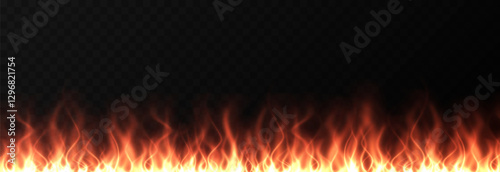 Vector fire png. Fire or bonfire on a transparent background. Fire background.