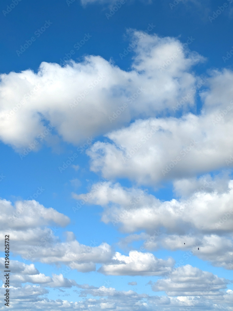 Beautiful Large White Clouds in a Calm Blue Sky Beautiful Large White Clouds in a Calm Blue Sky