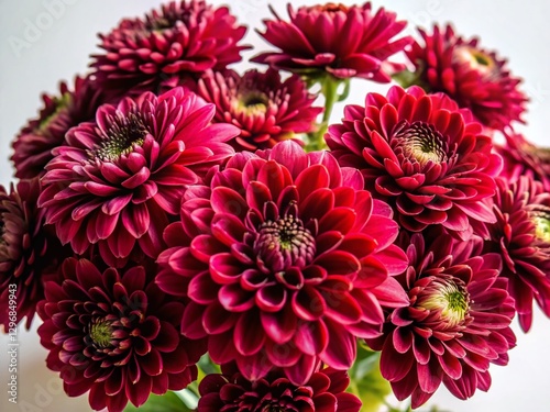 Wallpaper Mural Stunning Maroon Flower Bouquet, Isolated Blooming Flowers, Rich Burgundy Floral Arrangement, Elegant Floral Design,  Close-up Photography Torontodigital.ca