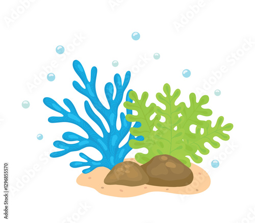 Vector illustration of corals and algae. Drawings for design, banners, books, marine magazines and travel magazines. Stock illustration.