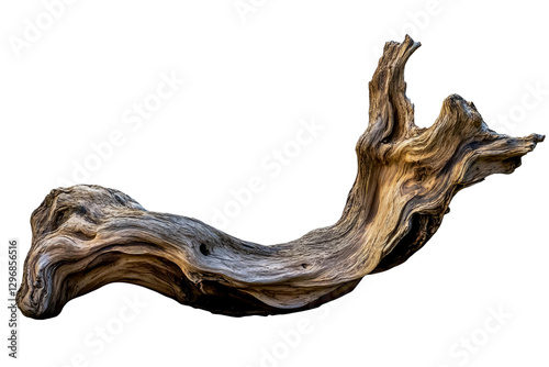 Driftwood piece isolated on a transparent background. photo