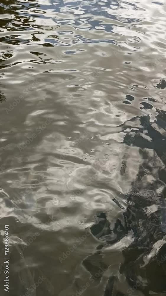 Peixes