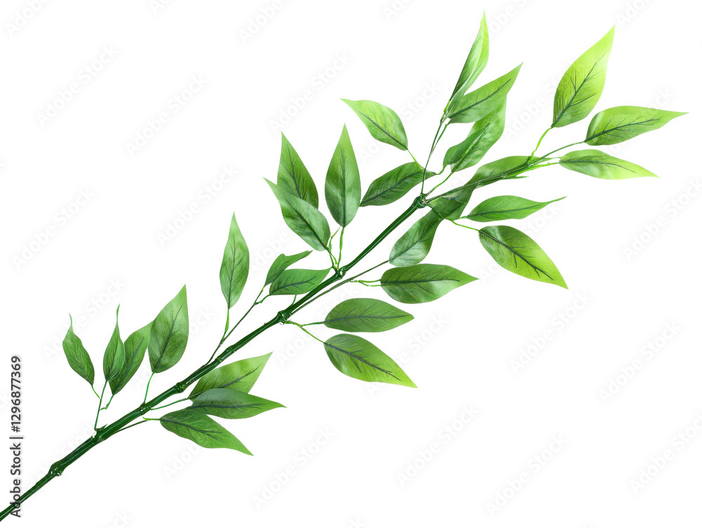 Fototapeta premium A vibrant green leaf branch showcasing natural beauty and elegance.