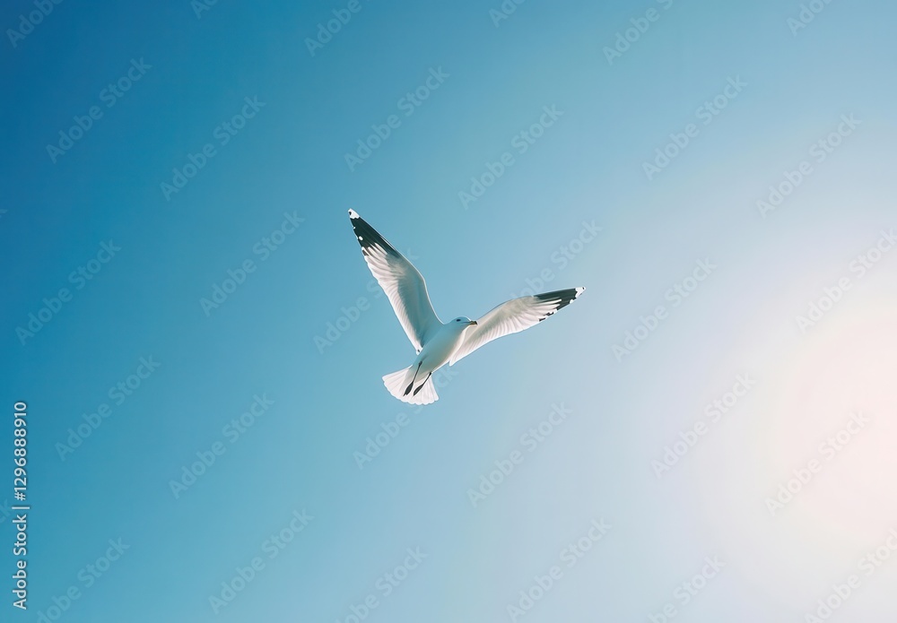 Majestic Seagull Soaring Gracefully Against Clear Blue Sky in Bright Sunlight, Capturing Nature's Serenity and Freedom in an Oceanic Landscape Majestic Seagull Soaring Gracefully Against Clear Blue Sky in Bright Sunlight, Capturing Nature's Serenity and Freedom in an Oceanic Landscape