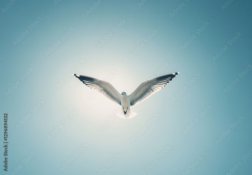 Obraz premium Majestic White Bird in Flight with Outstretched Wings Against a Clear Blue Sky and Radiant Sunlight Enhancing Its Graceful Appearance