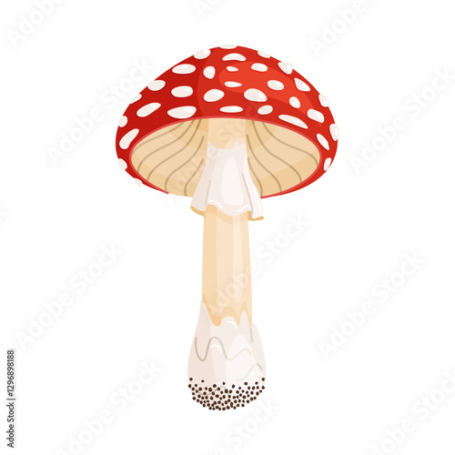 Fly agaric mushroom. Hand drawn trendy flat style isolated icon. Poisonous toadstool Amanita Muscaria, Inedible mushroom. Magic mushroom symbol autumn and summer woodlander. Vector illustration
