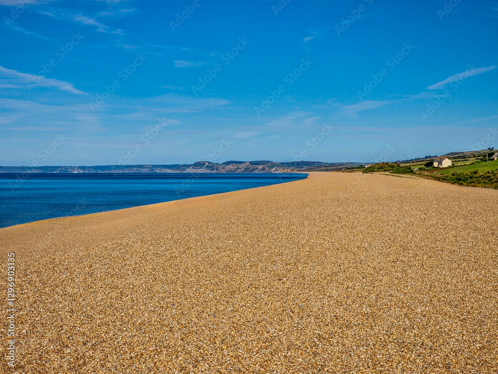 Chesil Beach, near Abbotsbury, Dorset England Chesil Beach, near Abbotsbury, Dorset England