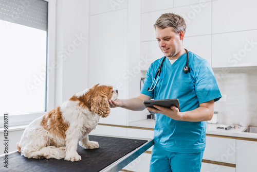 Veterinarian doctor petting a cute dog before a health exam in the clinic. Veterinary visit concept. photo