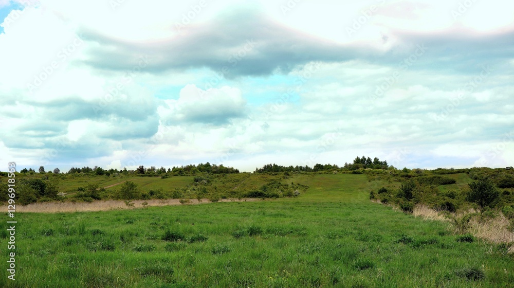 Fototapeta premium Meadow field with empty farmland.