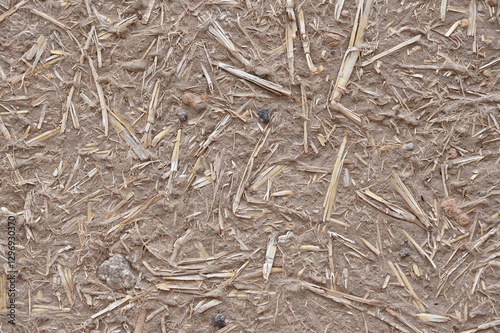 Lehmputzwand mit Strohhäcksel