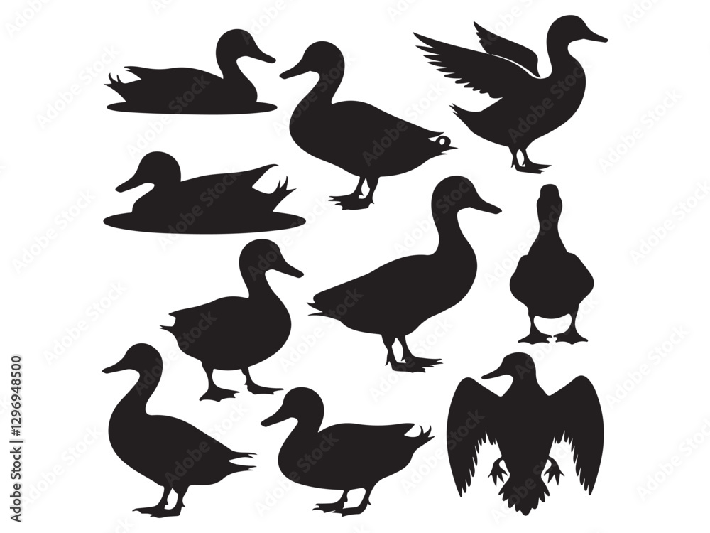 Obraz premium vector silhouettes of ducks