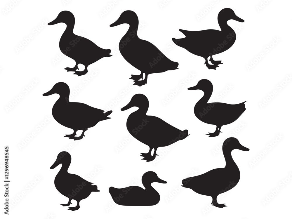 Fototapeta premium vector silhouettes of ducks