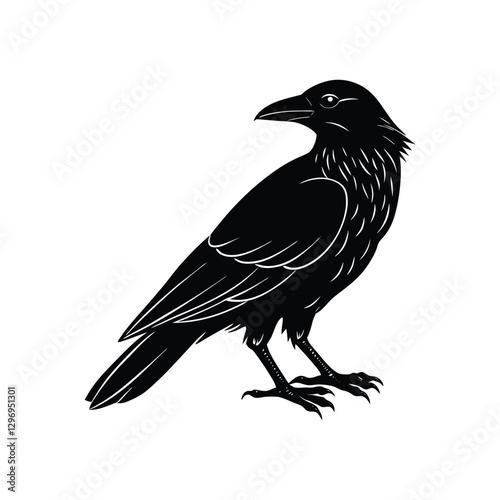 crow on a white background 