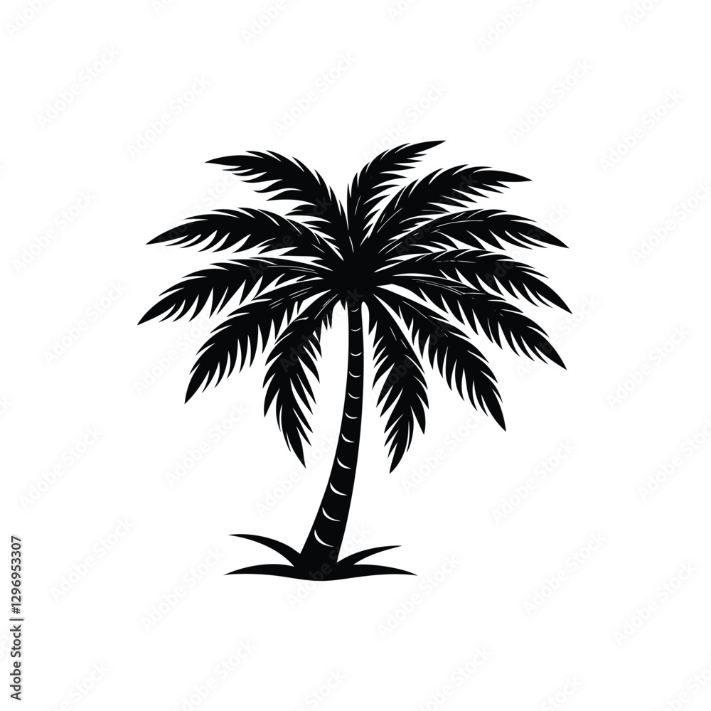 Obraz premium palm tree silhouette on white background