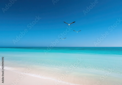 Tranquil beach scene with serene turquoise water  clear horizons  soft sand  and soaring seabirds under bright blue sky during sunny day