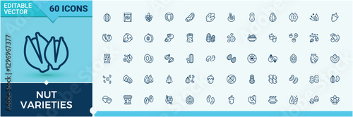 Nut Varieties modern icons set. Featuring brazil, health, pumpkin seeds, corn, nuts, soy and more. Sign and Symbol. Minimalist solid editable vector stroke.