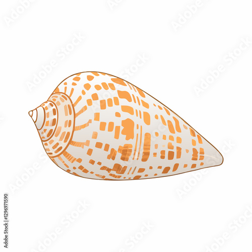 Image of conus tessulatus common name the tessellated conevector  illustration