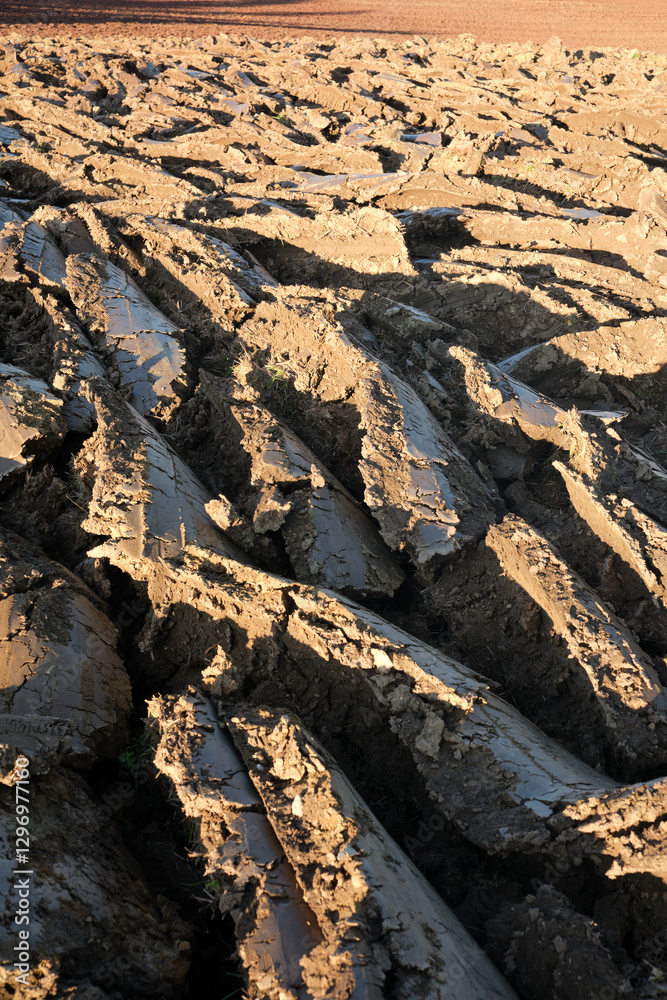 Close-up of clods, freshly ploughed field. Modern farming and irrigation business concept.Fresh arable land after the tractor before sowing